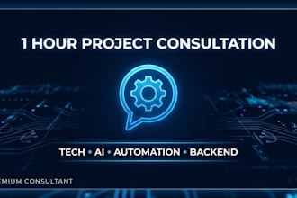 1 hour software project consultation