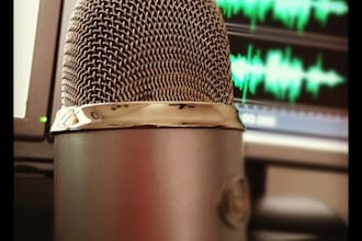 record a 2 min professional quality voice over