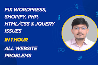 fix wordpress issues, fix wordpress website