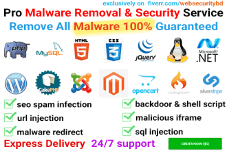 clean malware and fix security issue of your site
