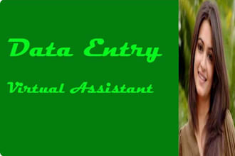 do data entry and virtual assistant