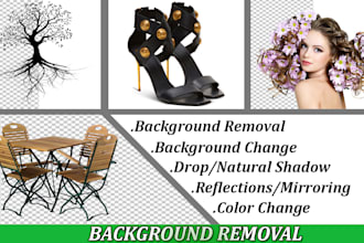 do bulk images background removal and editing professionally