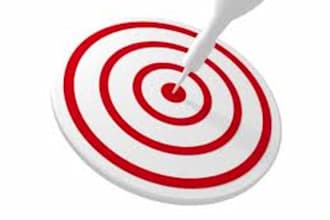 produce a detailed audit of your Adwords campaign, stop you wasting so much money and increase your sales