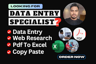 do data entry, pdf to excel, copy paste, web research