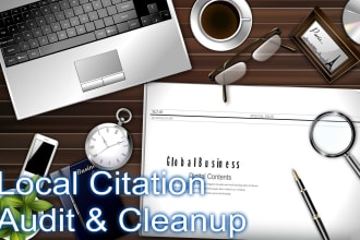 audit your local citation business website