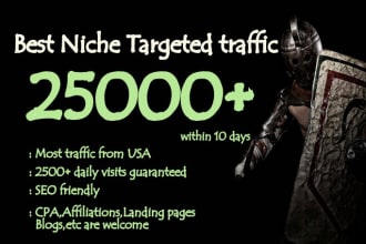 provide 25000 targeted,website,traffic, real,visitors