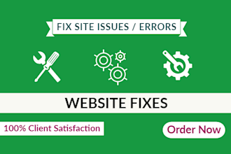 fix your site issues and improve performance