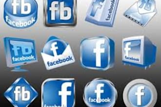 get you 500 USA facebook likes in 1 business days