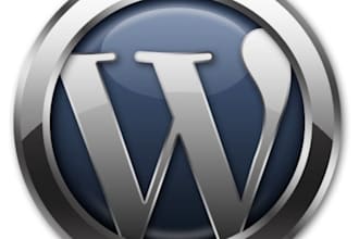 do Wordpress Installation, Custom Theme, Child Theme, Plugings installation, Editing Wordpress Theme, Plugin Install