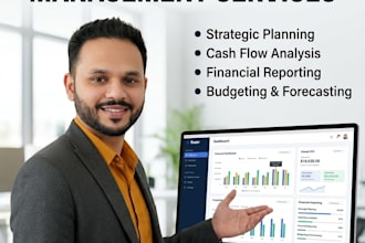 provide virtual cfo and financial management services