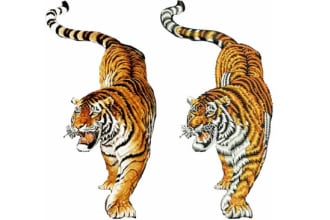do high quality embroidery digitizing into emb, dst, pes, jef  2 hours