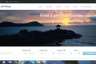 install and setup your wordpress theme