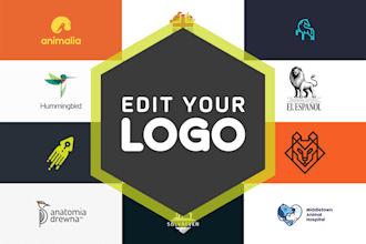 edit, recolor, change font, vectorize, make transparent logo