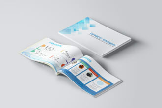 do professional adobe indesign and book project