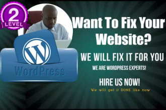 upgrade your website or build a new responsive wordpress website
