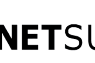 be your netsuite technical consultant