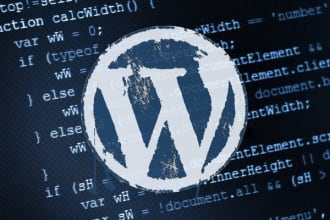 fix your wordpress problems with in 24 hours
