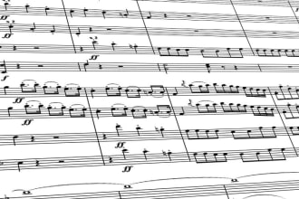 transcribe your score to notation software, mxml, pdf
