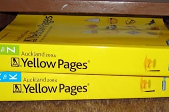 extract data from Yellow pages