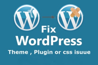 fix WordPress error, php and css issues