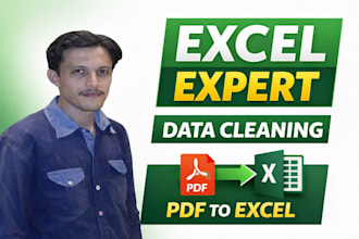 clean your microsoft excel data and convert PDF to excel