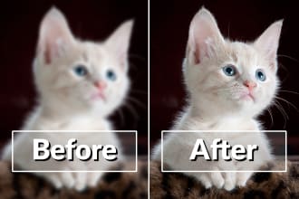 fix blurry photo restore enhance and upscale to high resolution