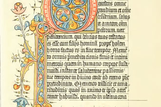 translate to and from latin