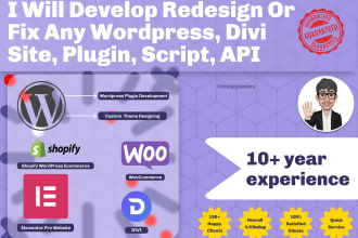 develop or fix plugins, API, wordpress, divi