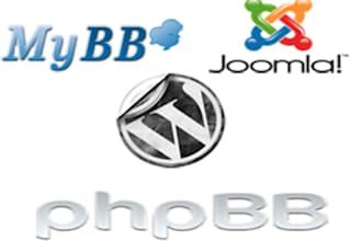 install joomla,wordpress,myBB,phpBB or any kind of scripts you want