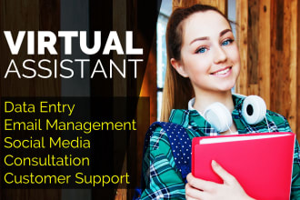 be professional virtual assistant and business consultant