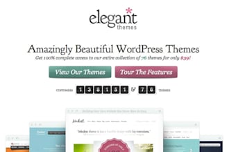 provide you with any elegant wordpress theme of your choice