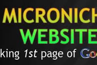 give you 1 micro niche website/sniper site with emd keyword with cpc 1 dollar and exact global or local us exact search minimum 1000+