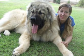 solve any behavioral problem of your dog