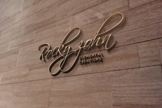 design 2 signature  logo in 24 hrs with free vector files