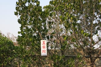 record in chinese cantonese or mandarin