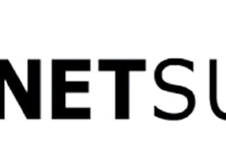 customize your netsuite using suitescript
