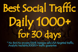 send usa real social,website,traffic,visitors