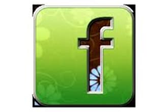 provide 200 Facebook Likes,USA fans within 1 day