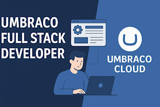 do change in umbraco cms and fix issue, maintenance, performance, quick help