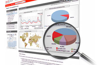 review and Test your Website as a Design, Layout and Technical Consultant
