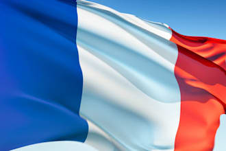 translate your English article into French language