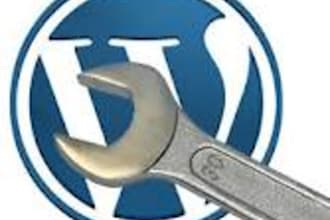 do wordpress installation/bugs/seo/customization for your needs