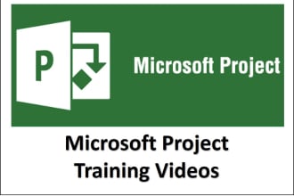 provide you one microsoft project training video
