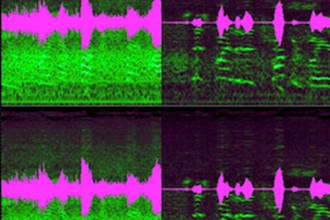 clean up the audio in your tracks and remove basic noise