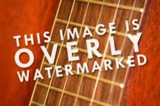 watermark 100 Photos or Images
