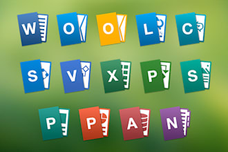 do any type of ms office projects within 2 hours only