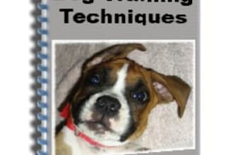 send you 5 dog obedience training lessons in PDF format