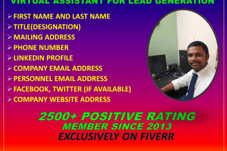 do data entry, excel, word, data editing and file conversion