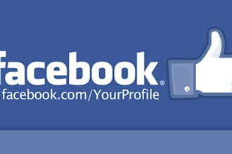 add 250+ High Quality Facebook Likes, Fans to your Page in less than 24 hrs