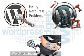 fix wordpress website issues